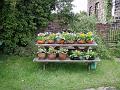 Table pots redone due to storm damage